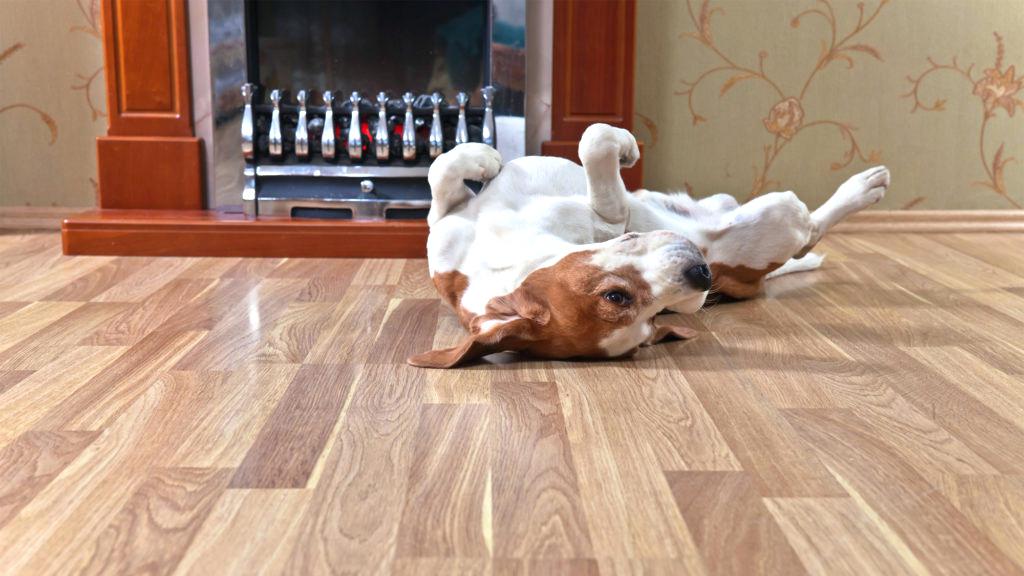 Pet durable flooring